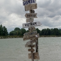 大变局时代构建组织韧性的有效机制